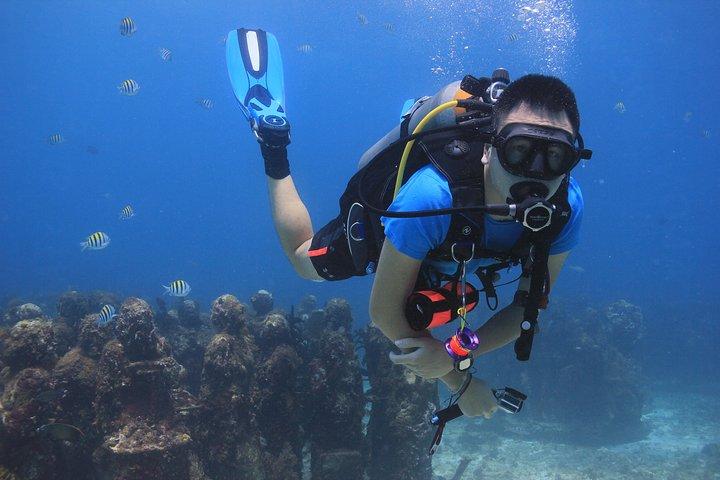 認定ダイバー向けに、アンダーウォーターミュージアムとマンコーンズリーフを体験