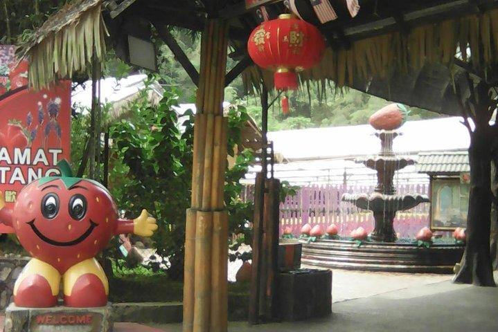 Batu-Höhlen und Genting Highland Tour