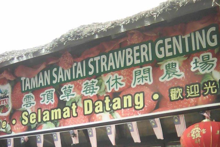 Batu-Höhlen und Genting Highland Tour