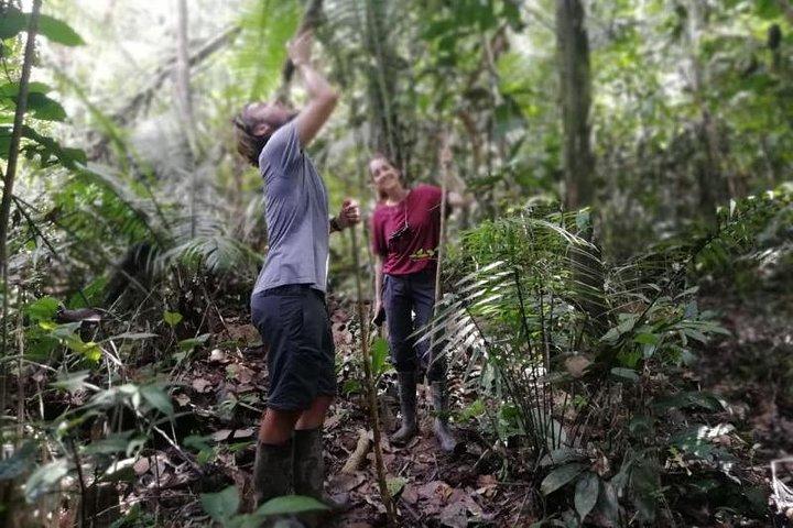 Pacaya Samiria 3Days / 2nights - Amazon Wonder Expeditions
