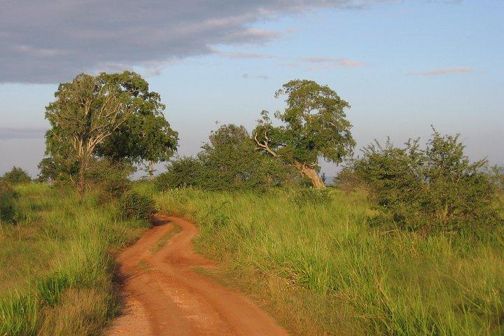 Uda Walawa Safari Excursion de 1 jour au départ de Mirissa, Weligama, Ahangama