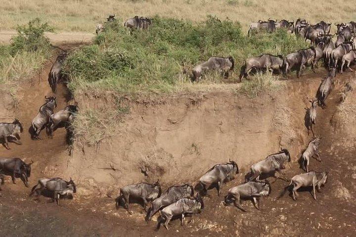 3 Days Best Of Kenya