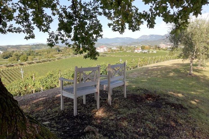 Tour de vinho de dia inteiro e degustação na região de Prosecco