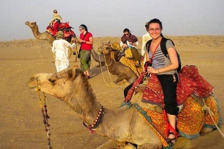 ラジャスタン周遊：ウダイプール、ジョードプル、ジャイサルメール、ビカーネール、ジャイプール