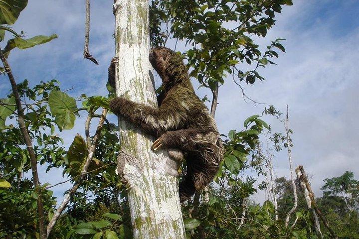 Pacaya Samiria 5Days 4Nights - Amazon Wonder Expeditions