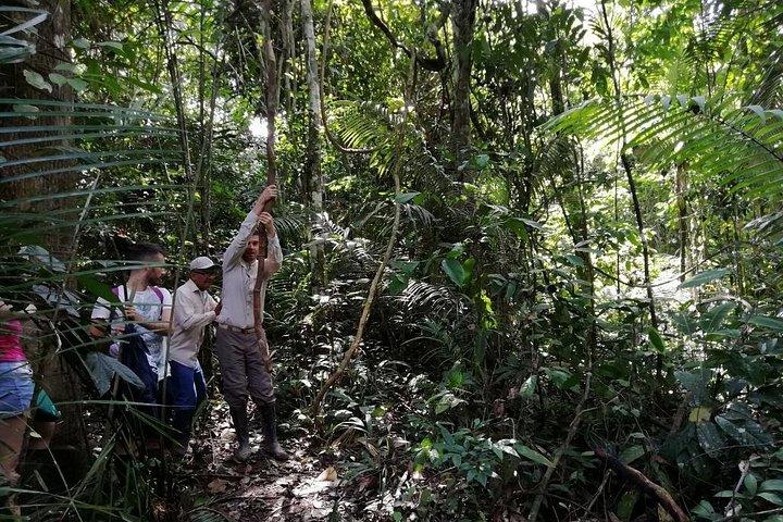 Pacaya Samiria 5Days 4Nights-Amazon Wonder Expeditions