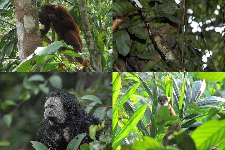 Pacaya Samiria 5Days 4Nights-Amazon Wonder Expeditions