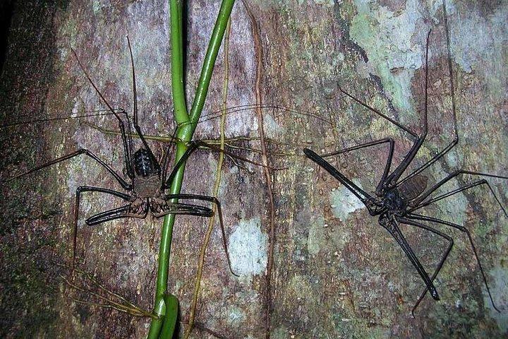 Pacaya Samiria 5Days 4Nights-Amazon Wonder Expeditions