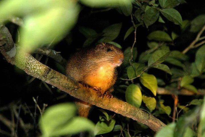 Pacaya Samiria 5Days 4Nights-Amazon Wonder Expeditions