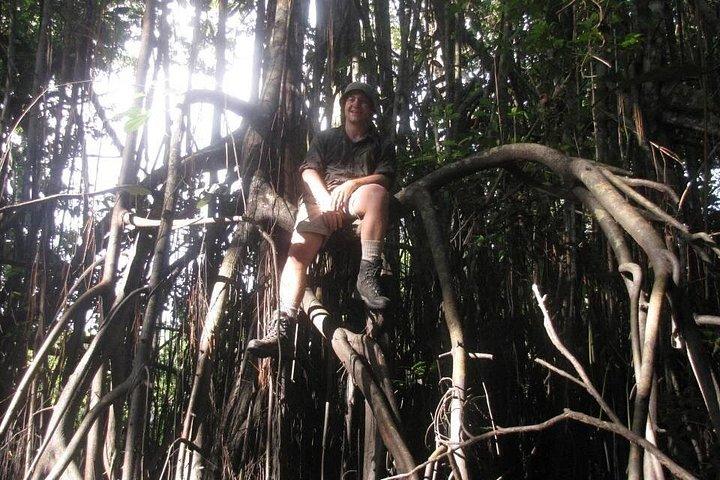 Pacaya Samiria 5Days 4Nights-Amazon Wonder Expeditions