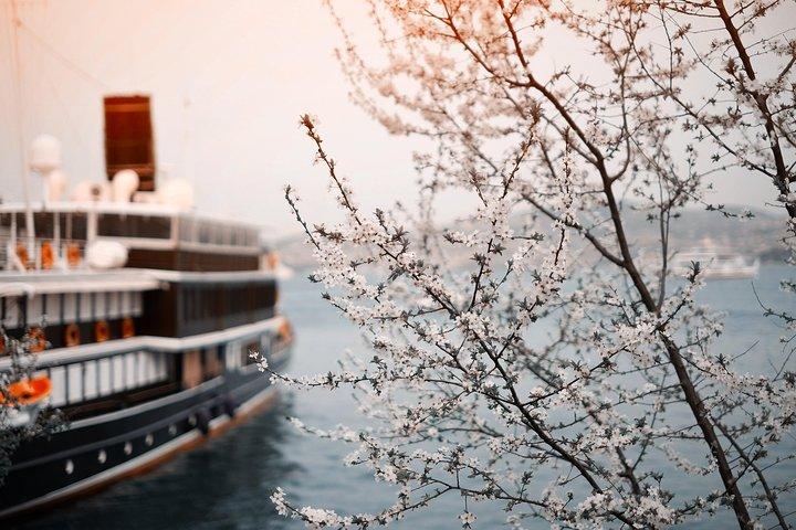 Transfer privado de Praga para River Cruise Dock Nuremberg: Porto / transporte portuário