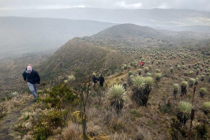 Sumapaz Mountaintop Páramo Trek - 3 hours