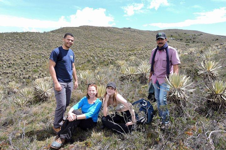 Sumapaz Mountaintop Páramo Trek - 3 hours