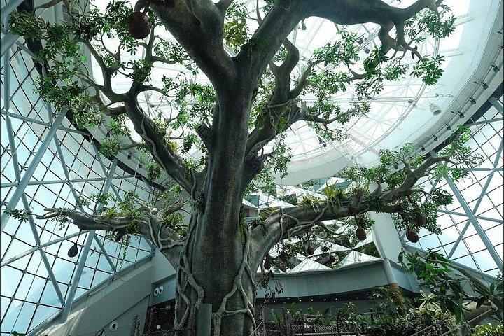 グリーン プラネット ドバイ 1 日チケット (送迎付き)