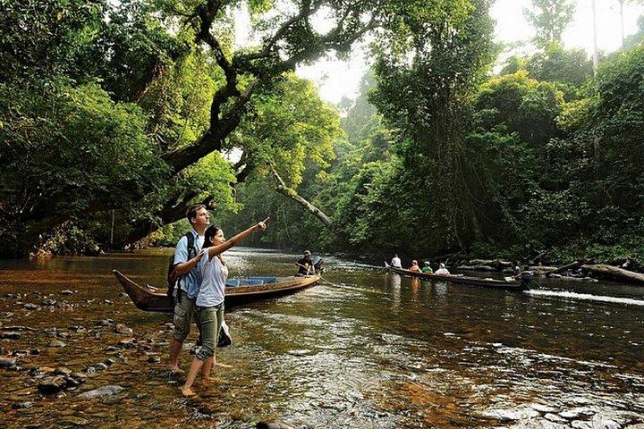クアラルンプール発、昼食付きの素晴らしいタマン ネガラ日帰り旅行