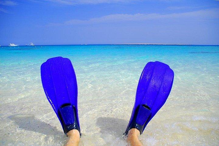 紅海のハルガダでのギフトン島シュノーケリング
