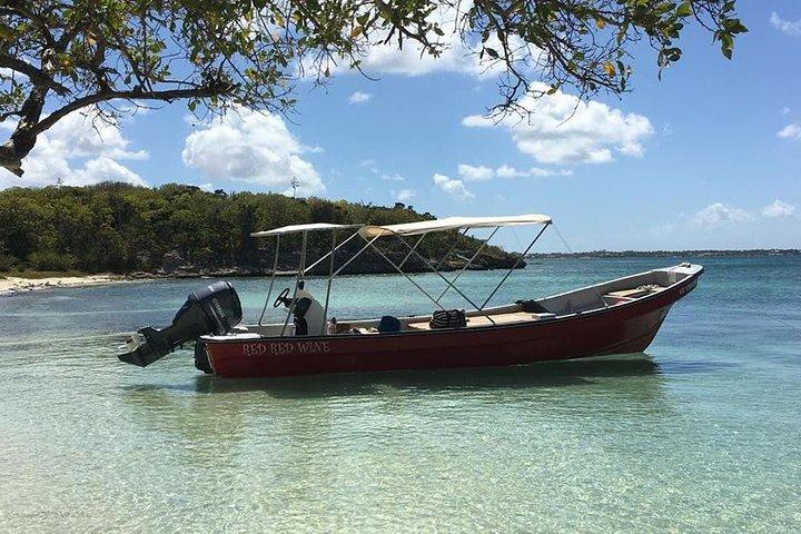 Snorkel e exploração de praia exclusiva em Antígua