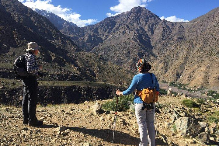 Ultimate Atlas Adventure: Zipline Thrills & Scenic Hiking