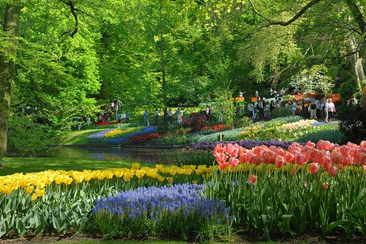 Private Day Trip from Amsterdam to Keukenhof with Entrance Tickets