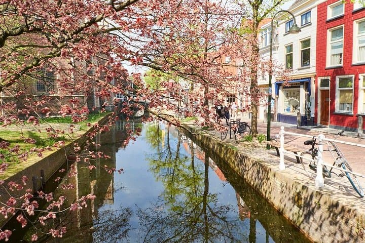 Private full-day tour of Delft and Rotterdam from Amsterdam