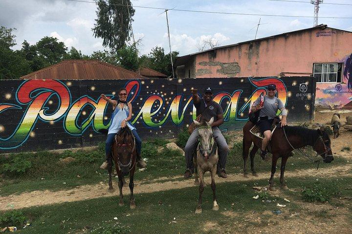 Eco-Tour on Horseback
