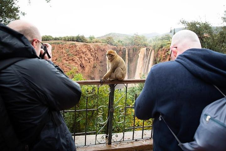 Day trip to Ouzoud waterfalls from Marrakech