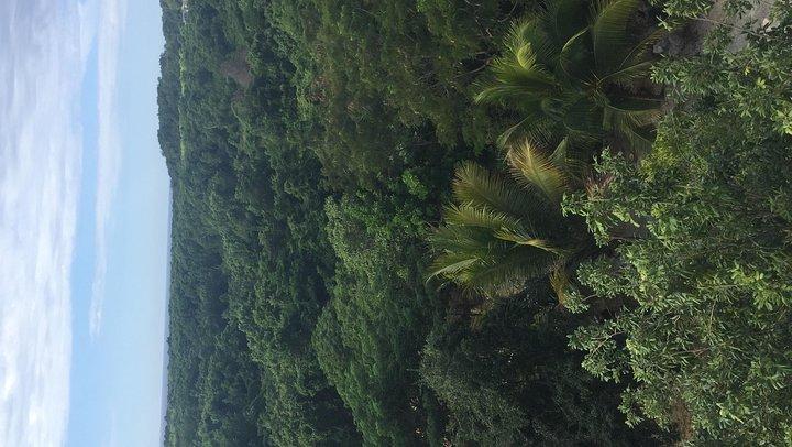 Flyrejse til lufthavnshotel MBJ-Negril