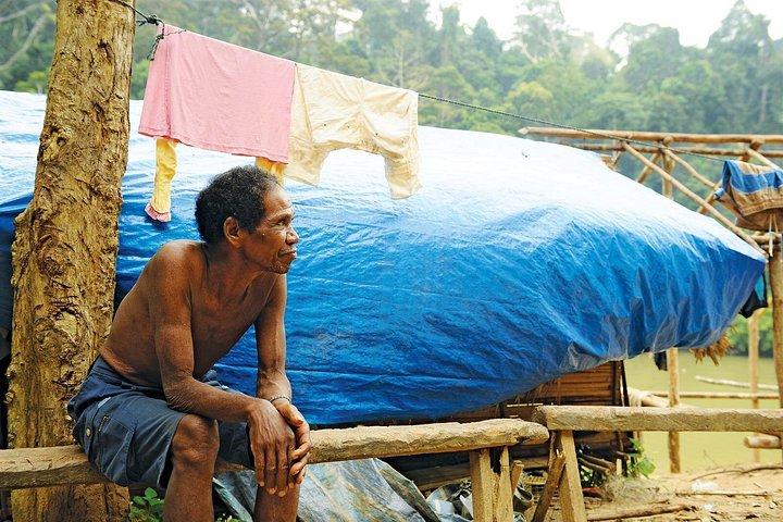 クアラルンプールからのキャメロンハイランドへの私的自然旅行