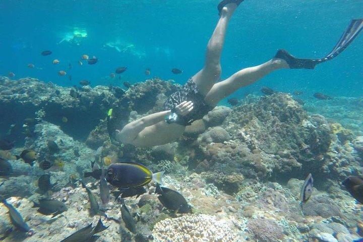 Visite de Bali en apnée à Blue Lagoon Beach - Tout compris
