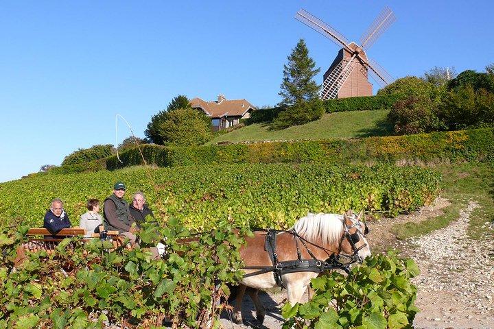 Excursion d'une journée en Champagne au départ de Paris avec 4 dégustations, Reims & Caves