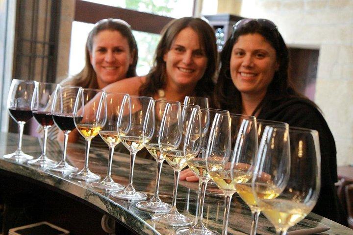 Excursion d'une journée en Champagne au départ de Paris avec 4 dégustations, Reims & Caves
