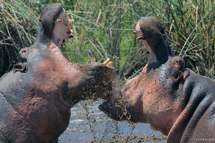 Group Safari 7 Days in Tanzania's Main Parks