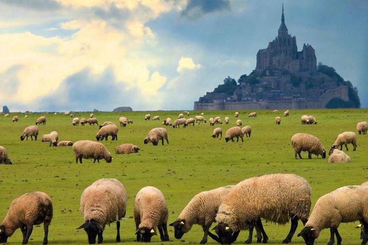 Dagtrip Mont Saint-Michel vanuit Parijs met Abdijticket
