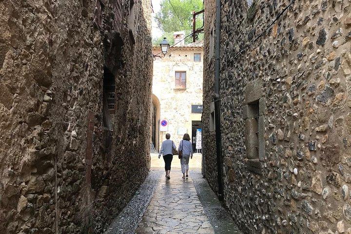 Round-Trip transfer: Dalí Museum in Figueres with lunch(optional)