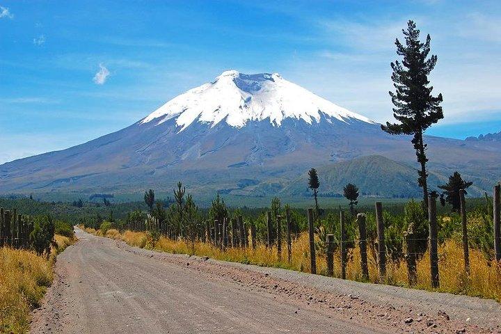 Cotopaxi-vulkaan vanuit Quito - privétours