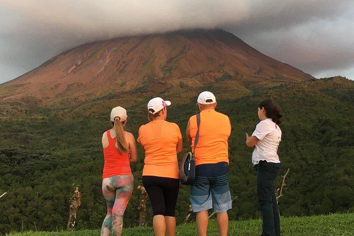 ラ フォルトゥナ滝、吊り橋、アレナル火山コンボ ツアー