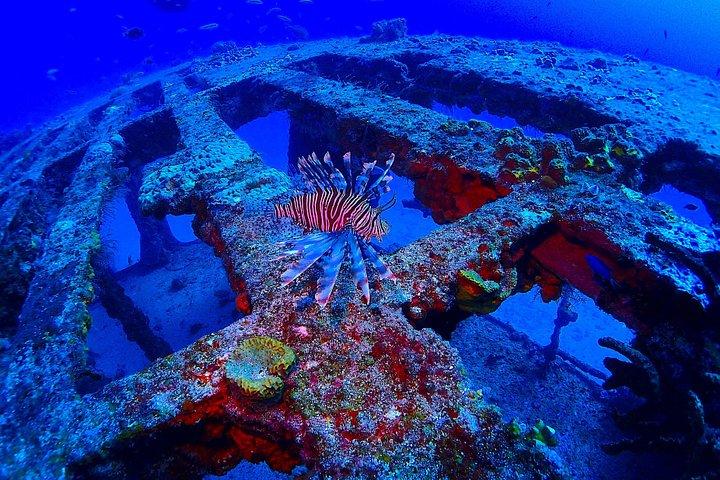 SPECIAL!! 2 Tank Wreck & Drift Reef dives
