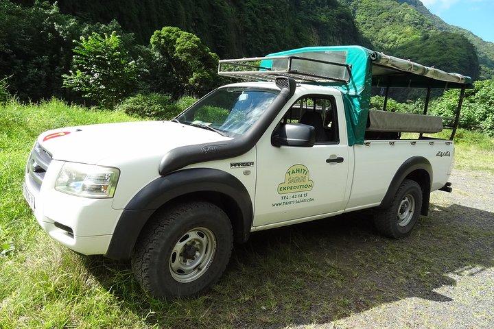 タヒチ島サファリ4×4横断
