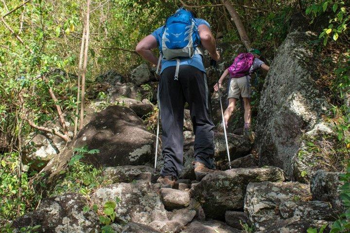 Gros Piton Caminata Santa Lucía