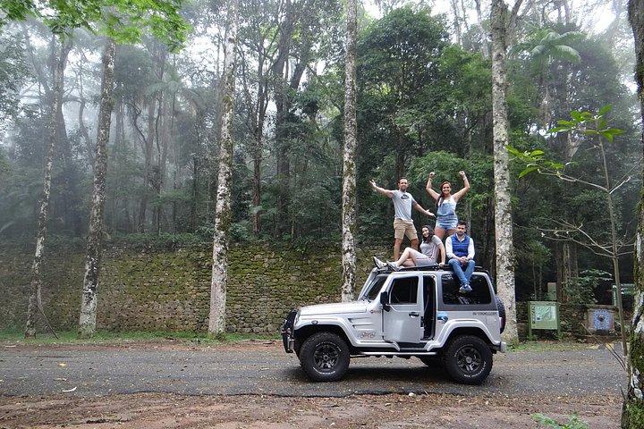 プライベート 4x4 SUV: ペドラ ボニータ付きティジュカ フォレスト 8 時間 + 写真