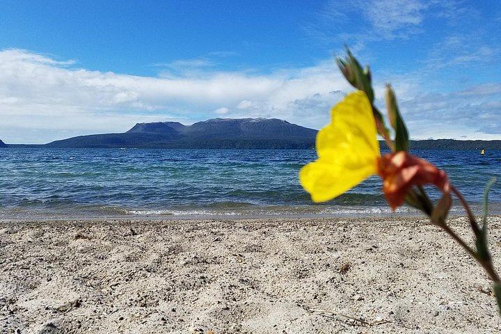 Explore The Lakes Tour