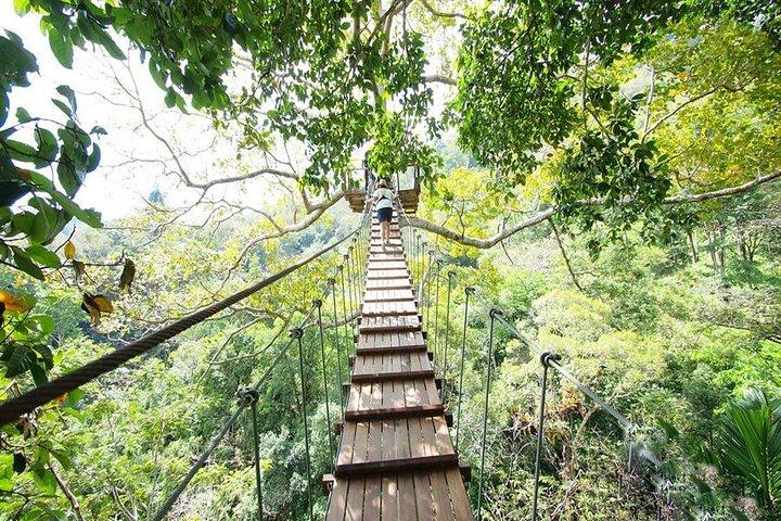 Phuket ATV with Ziplines Adventure Tours