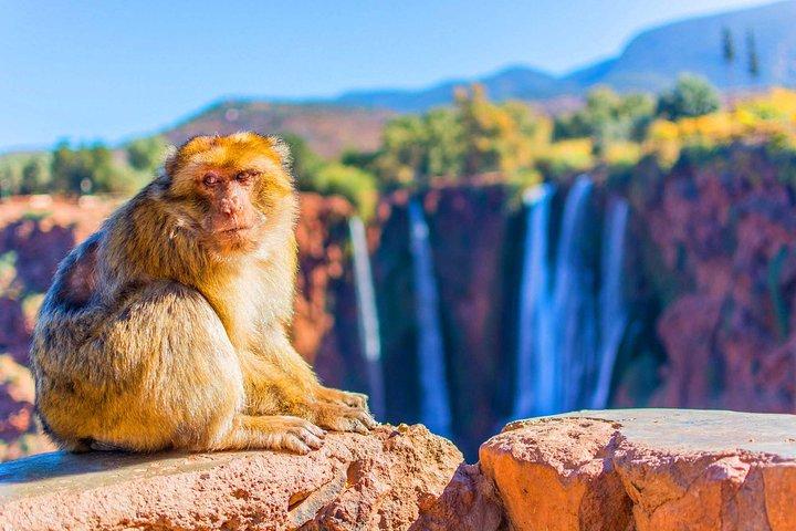 Excursion privée d'une journée de Marrakech aux cascades d'Ouzoud avec déjeuner