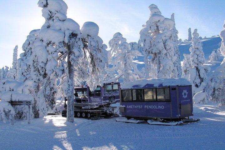 ラップランドの宝石：ルオストのアメジスト鉱山への訪問