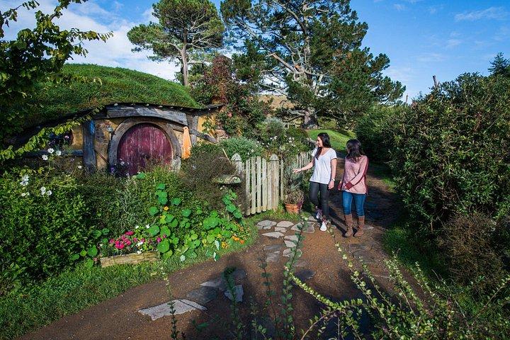 プライベートツアー-ホビトン映画セット＆テ・プイア（ロトルア）