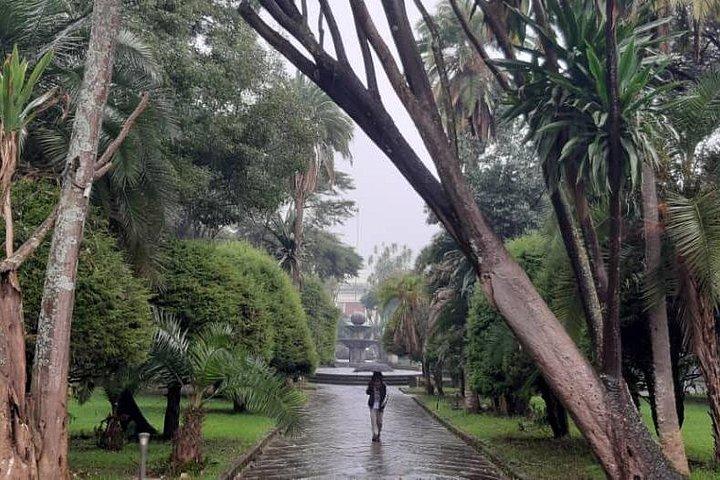 Addis Ababa Tour (full day)