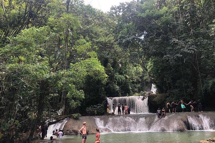 Black River Safari and YS Falls