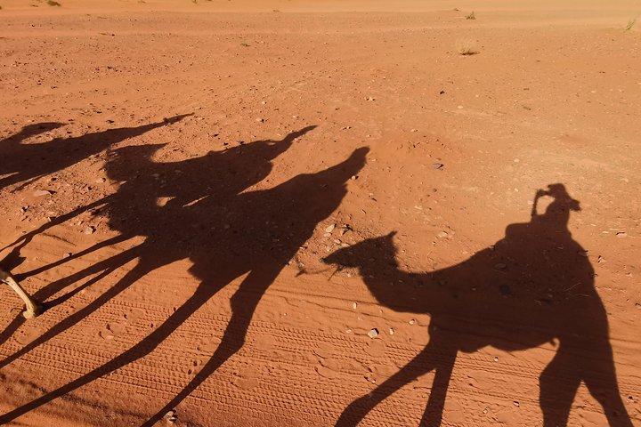 Wadi Rum: aventura en camello