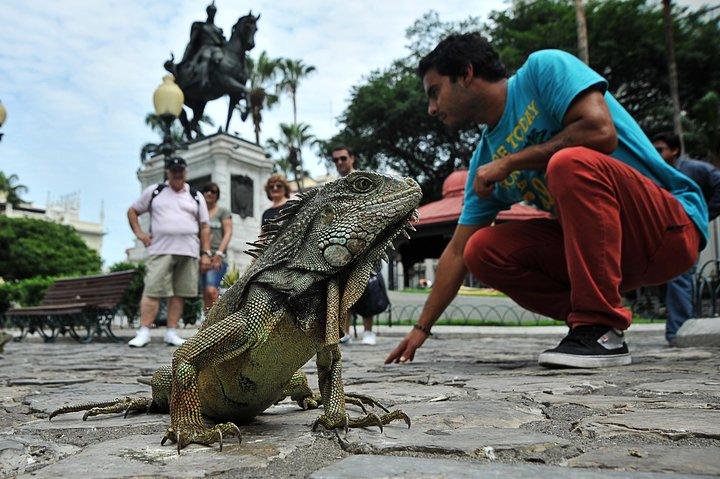 Tour privado por Guayaquil