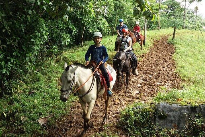 リオセレステ乗馬ツアー